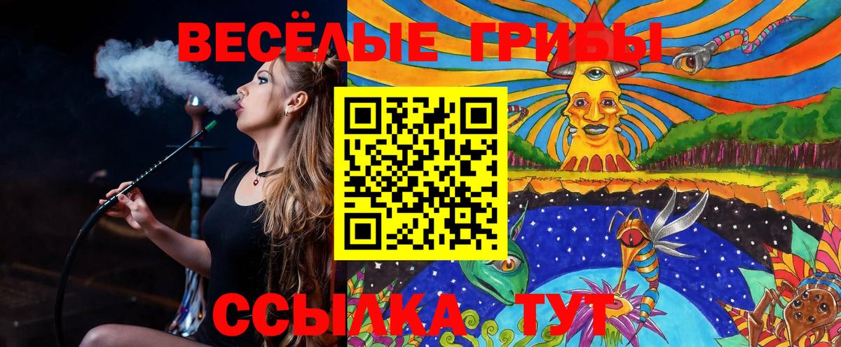 Галлюциногенные грибы мухоморы Скопин