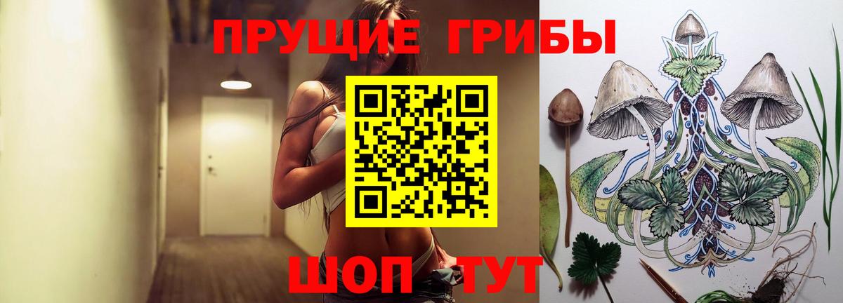 Псилоцибиновые грибы Magic Shrooms  где найти наркотики  Скопин  Вход с VPN 